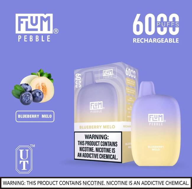 FLUM PEBBLES 6000 baforadas melão de mirtilo 828A16 | FLUM PEBBLE PRECIO